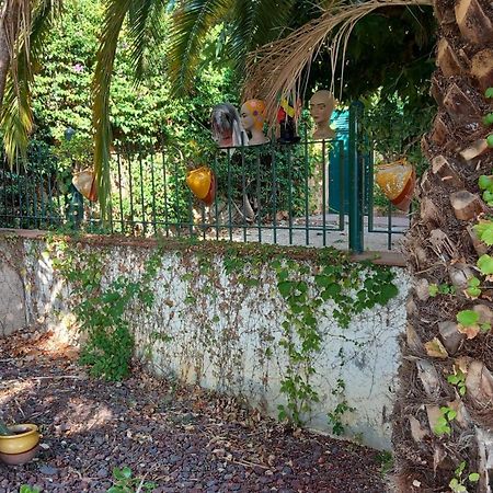 Appartement & Spa - Panoramic Olivars Pau Kültér fotó